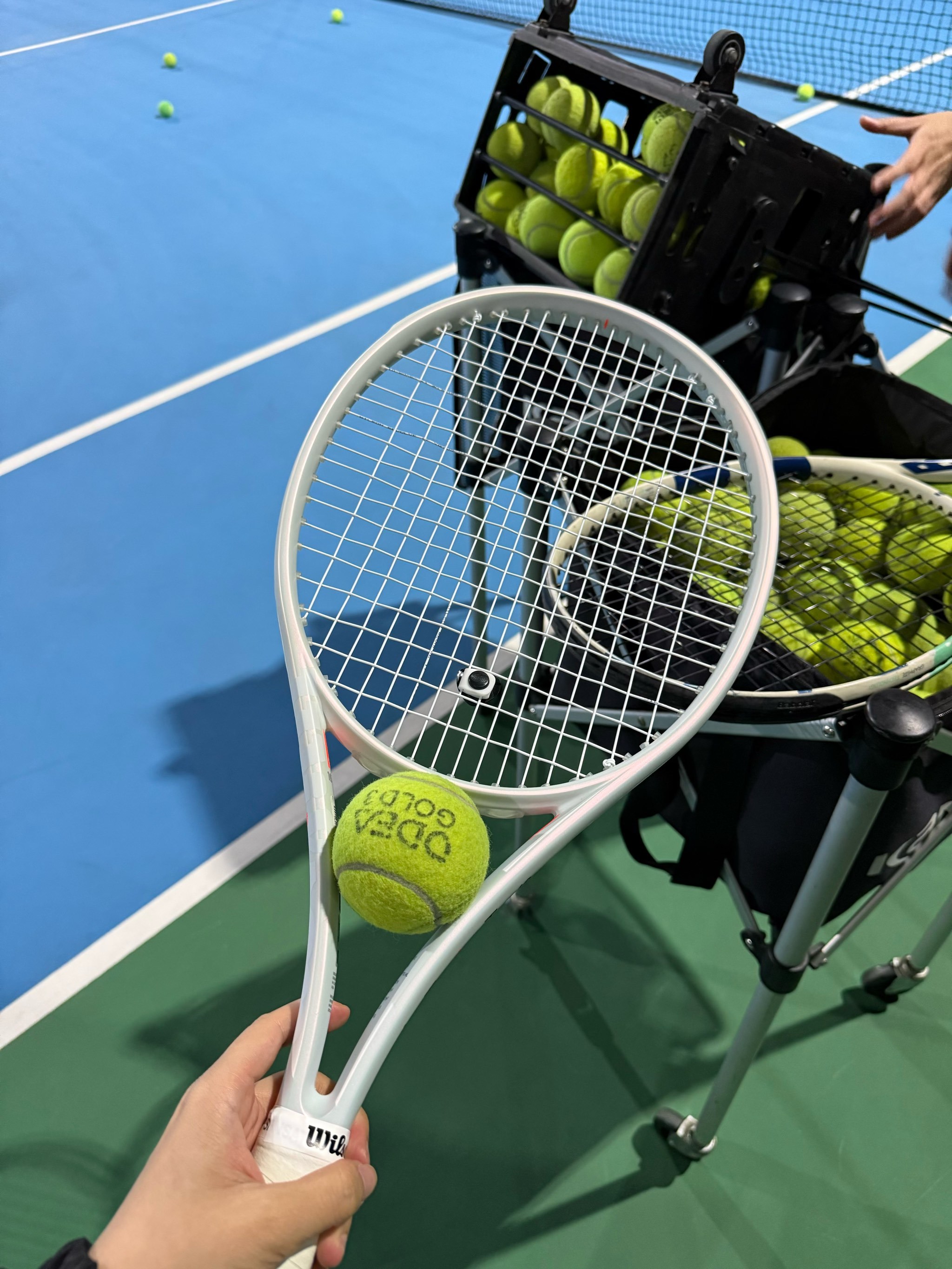 包括国家队 包括国家队